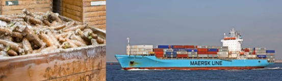Préparation pour l'exportation et le transport